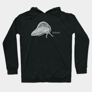 Treehopper with Common and Latin Names - insect design Hoodie